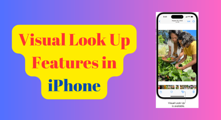 Use Visual Look Up to identify objects in your photos and videos on iPhone